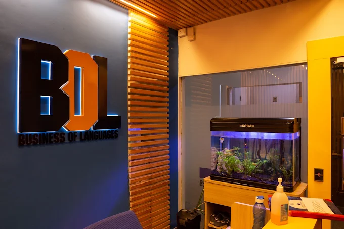 BOLMEDIA Studio